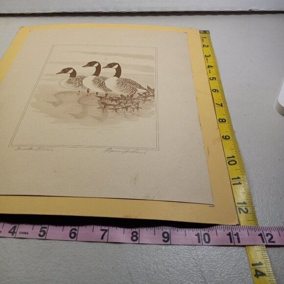 Vintage American Waterfowl Etching/Print Lynn Forehand 3 of 5 Cottagecor… - Picture 6 of 7